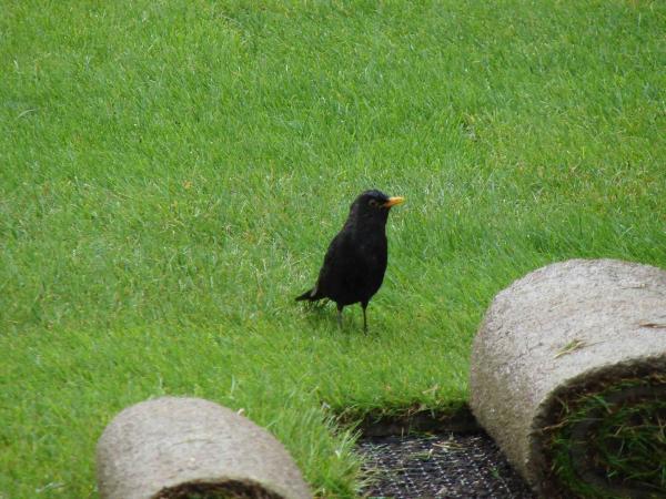 3c3ce5b5-1700-4aa6-aad4-2139daf99592