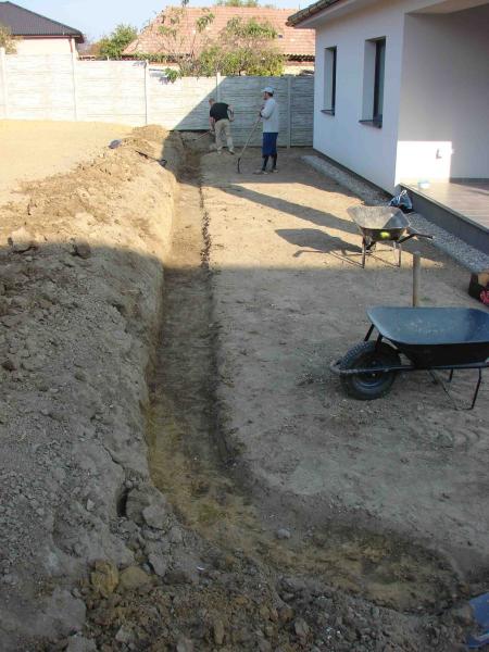 bd7c0485-17d1-4f8b-bff5-c034da35124b