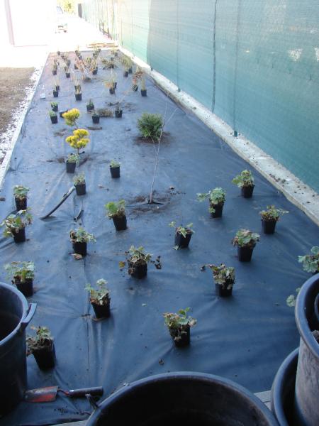 392530f2ff354a9ba596c70c63d216a5