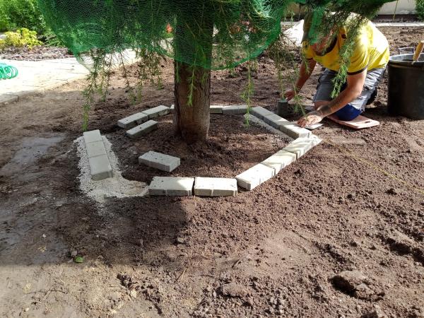 IMG20230803092610157