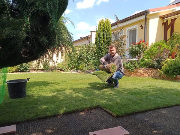 IMG20230811135302431