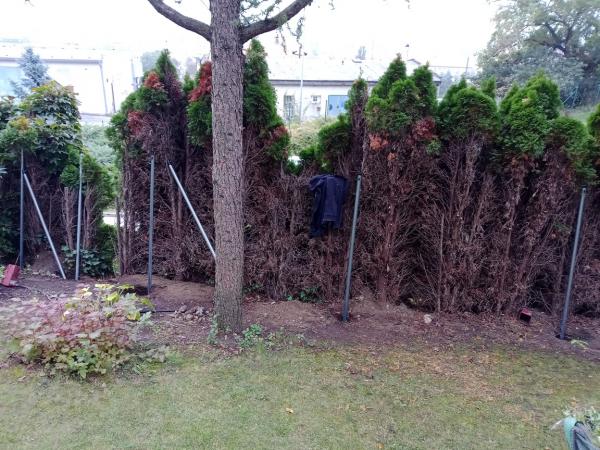 IMG20241007120319341