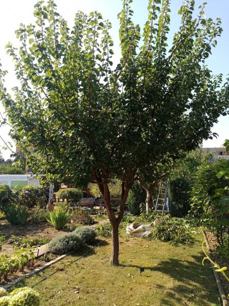 IMG20240904093055926