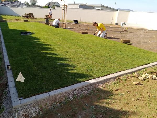 IMG20241018122920001