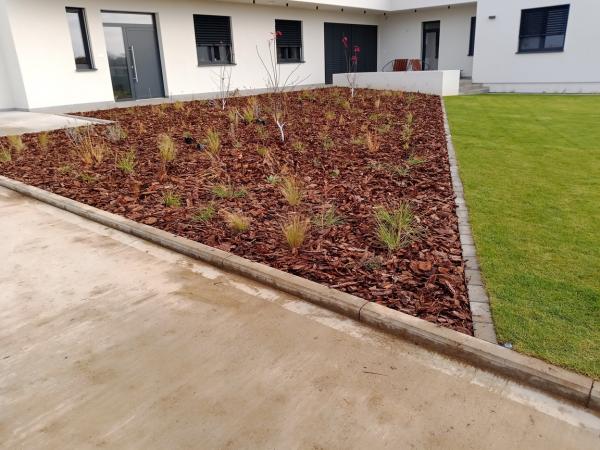 IMG20241118111922711