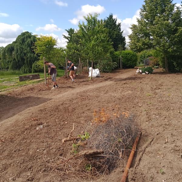 IMG20250529102108634