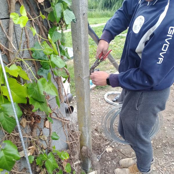 IMG20250530115515961