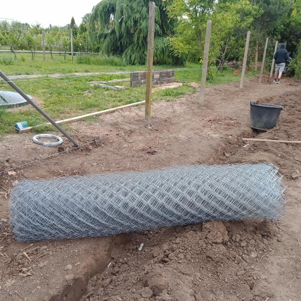 IMG20250530115550442