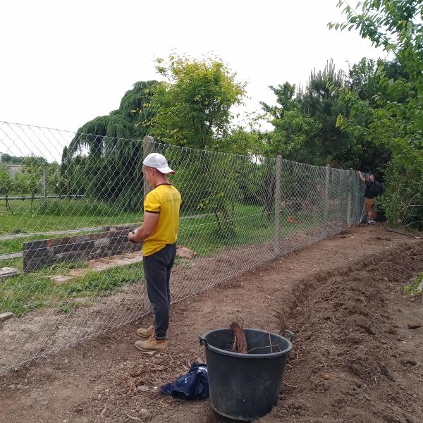 IMG20250530124141786