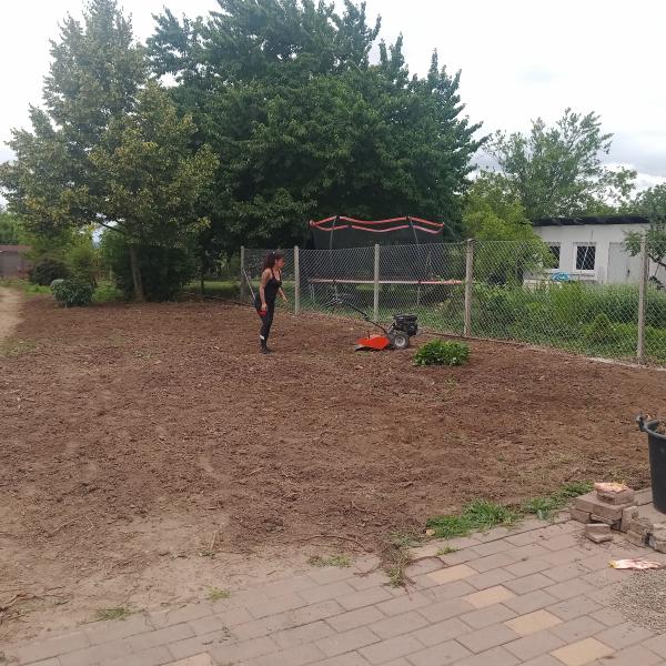 IMG20250616101216769