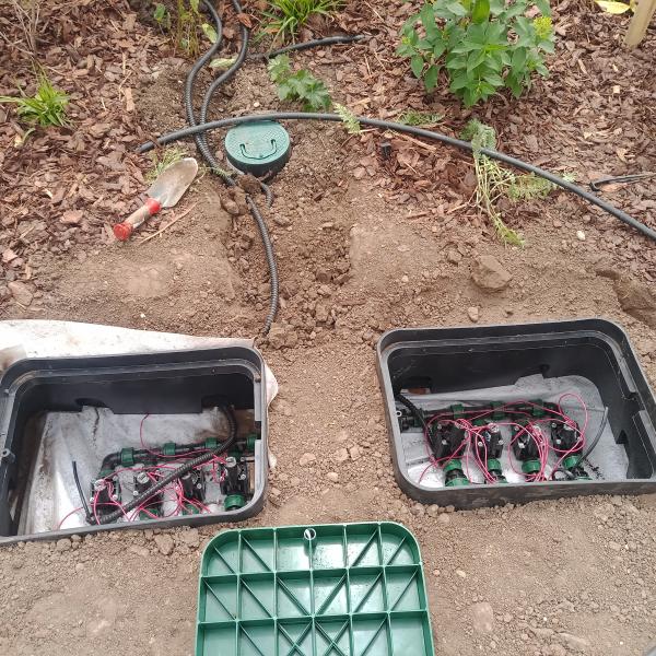 IMG20250704122655772