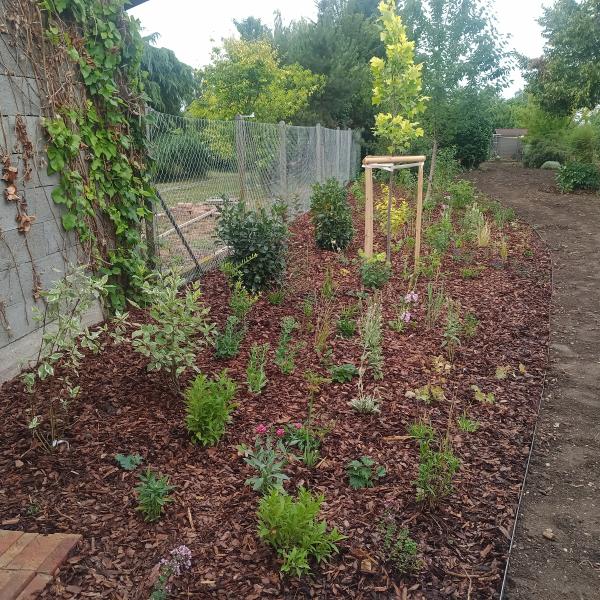 IMG20250707102419585