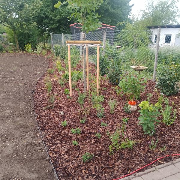 IMG20250707102437474