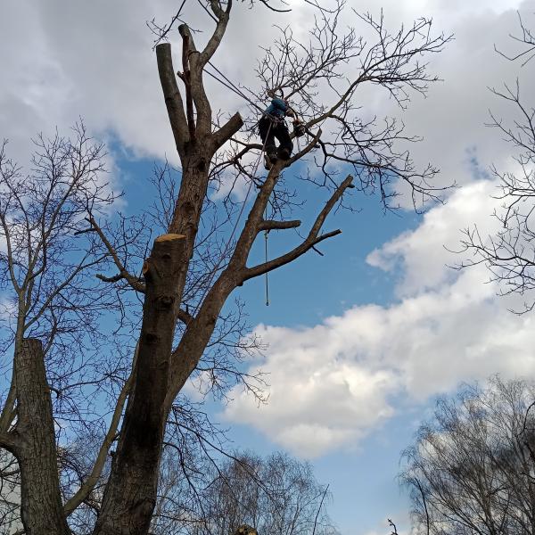 IMG20250312114626523