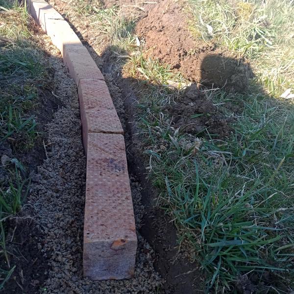 IMG20250321092247898