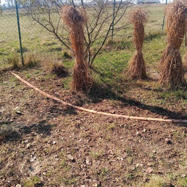 IMG20250321140526967