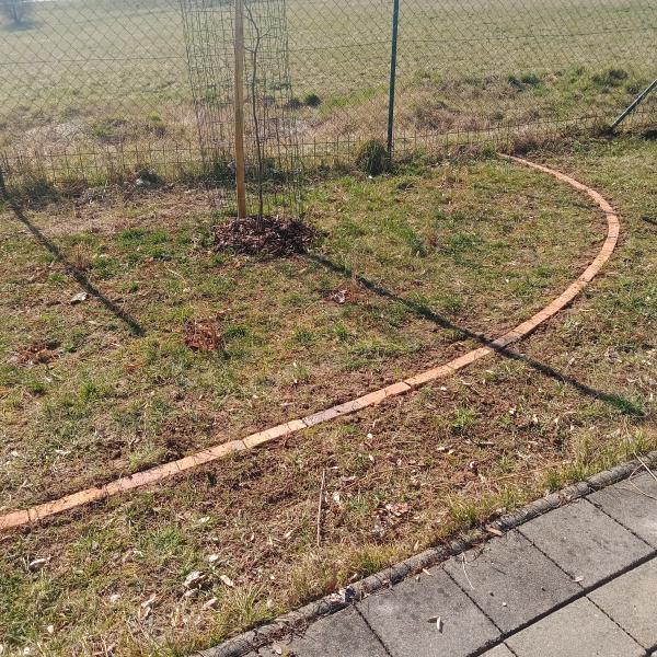 IMG20250321140617107