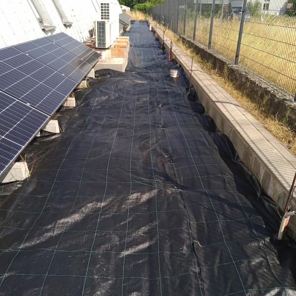 opatrenie-proti-burine-2