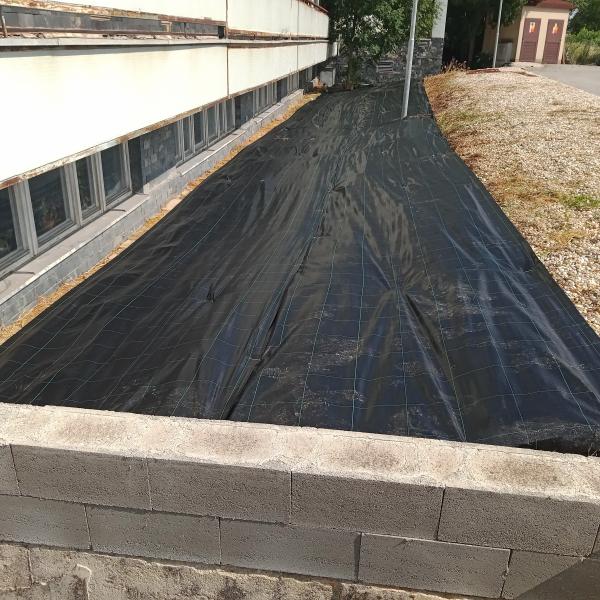 opatrenie-proti-burine-4