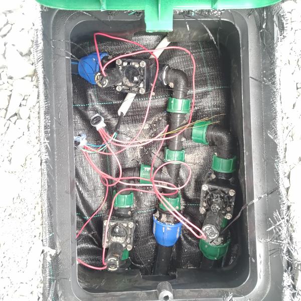 IMG20250716131046514