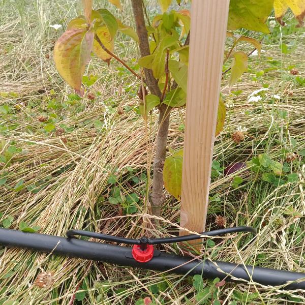 IMG20250716131157710