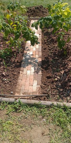 IMG20250815130315879